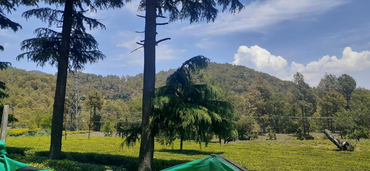 Hotel Goludev Valley View 나이니탈 외부 사진
